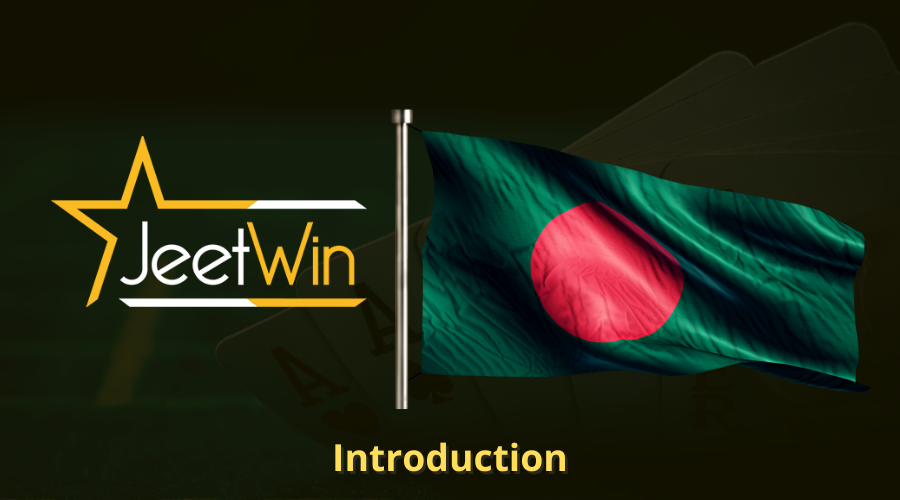 কিভাবে JeeTwin লকড ওয়ালেটের লেনদেনের রেকর্ড দেখতে হয়?